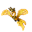 Midnight Havera
