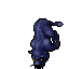 Midnight Panther